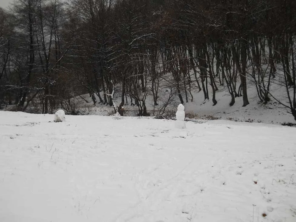Vremea geroasă împiedică desfăşurarea normală a orelor. FOTO: Adevărul