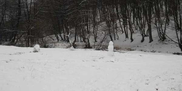 Oameni mici şi oameni de zăpadă din Cluj