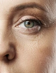 shutterstock 2050732577 jpg