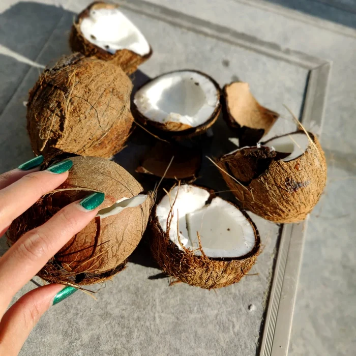 2 majda aboulumosha despre survivor 2022 1 jpg jpeg