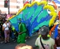 DSCN7182 JPG