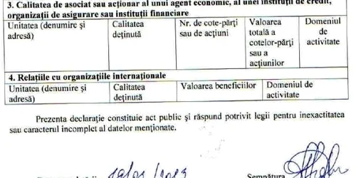 Declaratia de venit a viceministrului Stela Scola