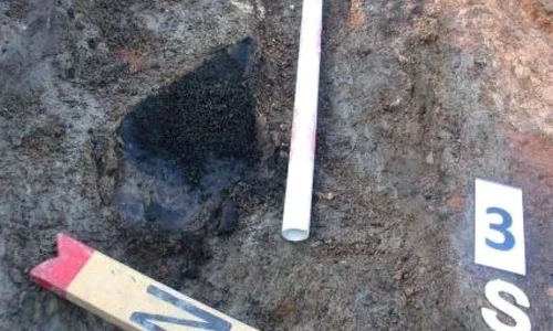 Descoperire unicat pentru Nord Vestul Transilvaniei jpeg