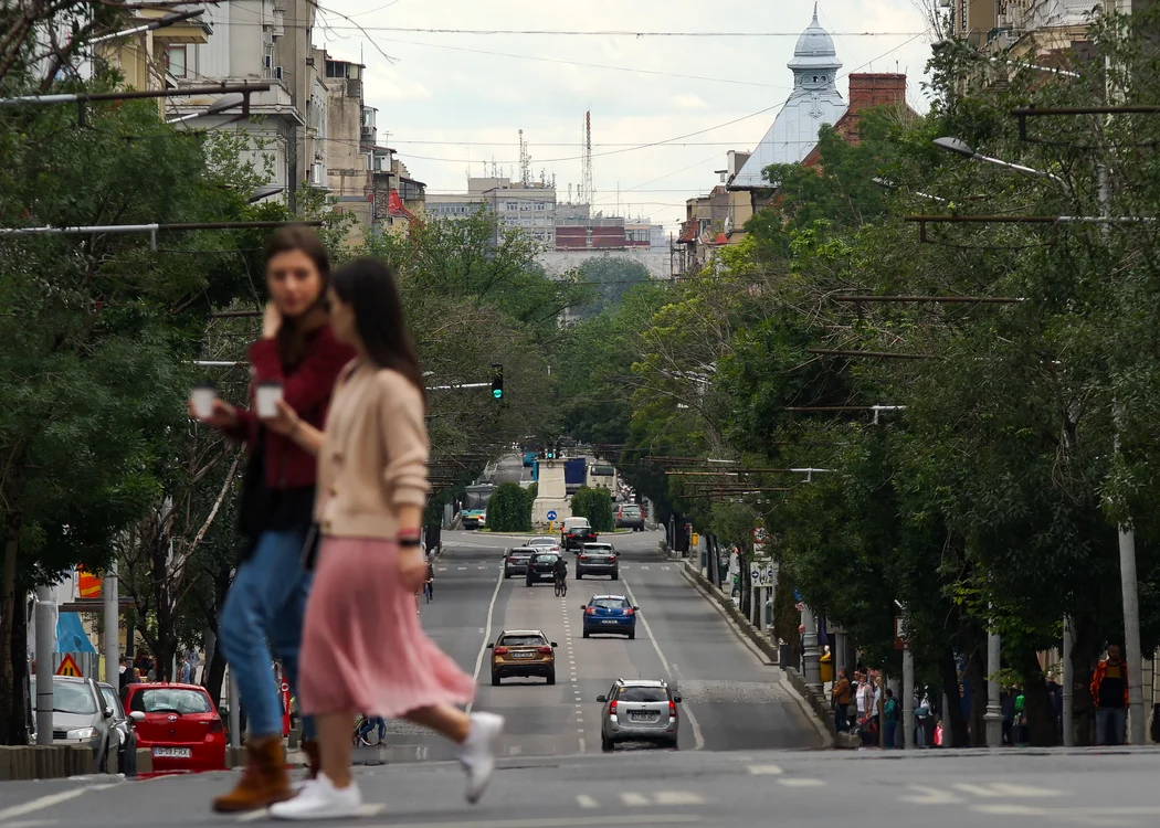 „Coroană verde” a adus 97 de arbori noi pe Regina Elisabeta. FOTO: Shutterstock