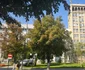 Ramnicu Vâlcea  Foto Daniel Guță  ADEVĂRUL (38) jpg
