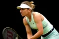 Simona Halep Sursă: Profimedia