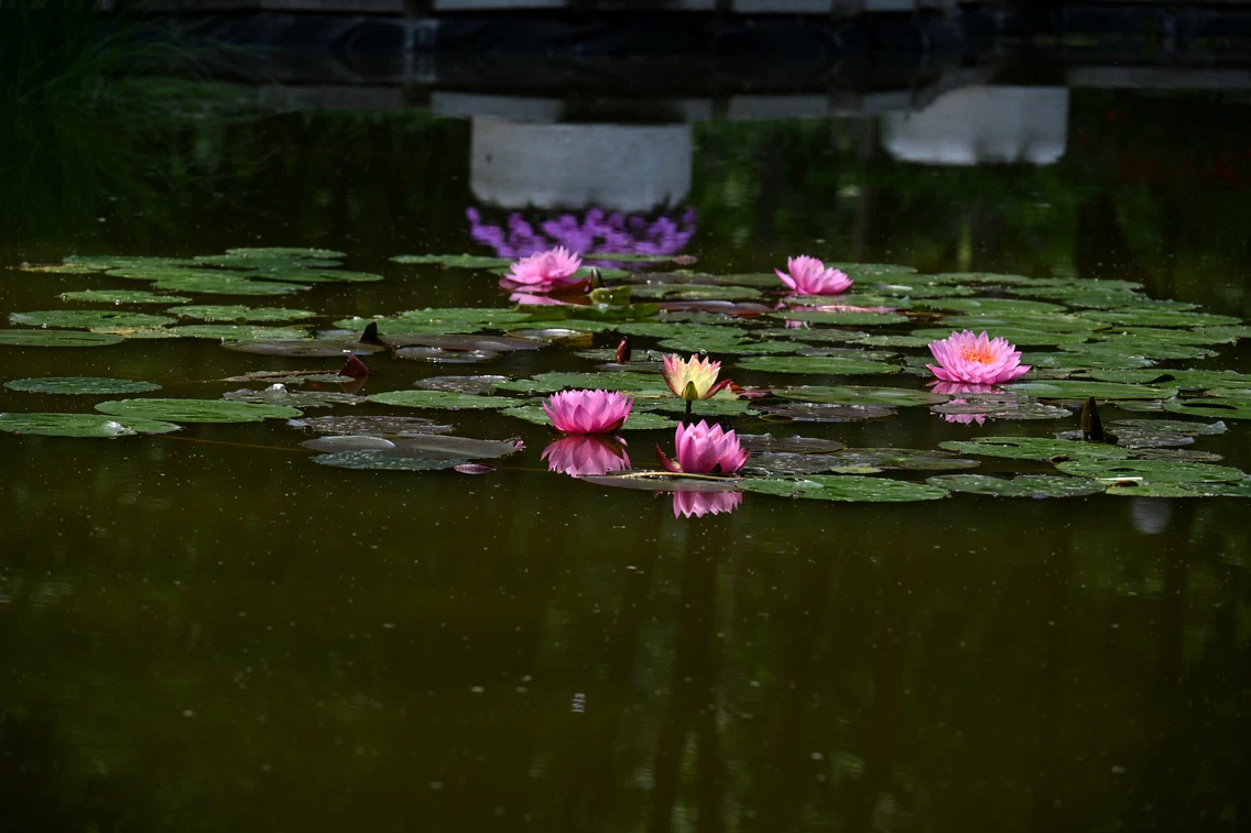 Parcul Copou Iași SURSĂ FOTO Cristian Hitruc