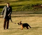 14 cainele lui joe biden de la casa alba cionbanesc german commander 2 jpg jpeg