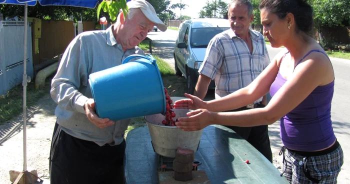 Localnici din Păuleşti trăiesc din vânzarea de cireşe