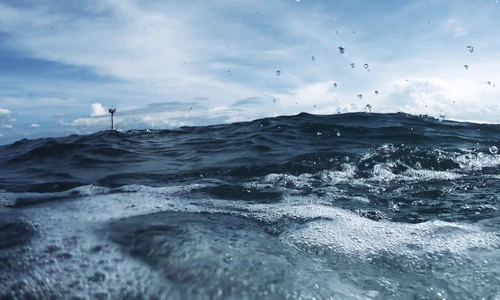 1 shutterstock 1765756661 jpg jpeg