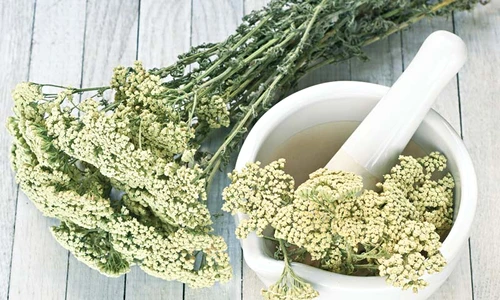 1 68886 original jpg jpeg