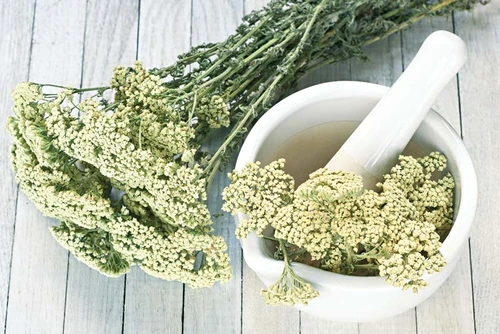 1 68886 original jpg jpeg