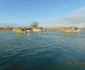 Insula Ceaplace de pe lacul Sinoe din Delta Dunării consolidată pentru pelicanul creţ Sursa ARBDD