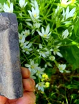 O matriță veche de 3.500 de ani, folosită pentru realizarea topoarelor de bronz, descoperită în Neamț (© Facebook / Vasile Diaconu - archaeologist)