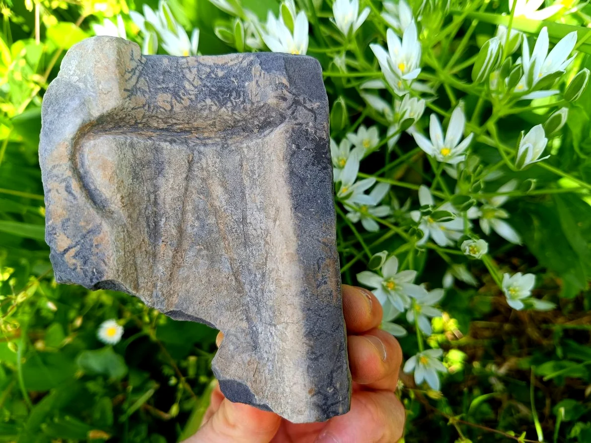 O matriță veche de 3.500 de ani, folosită pentru realizarea topoarelor de bronz, descoperită în Neamț (© Facebook / Vasile Diaconu - archaeologist)
