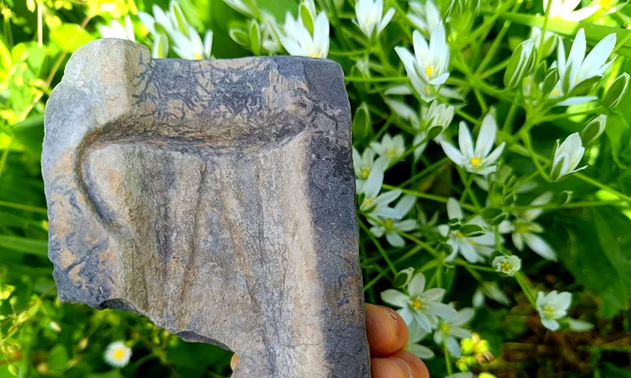 O matriță veche de 3.500 de ani, folosită pentru realizarea topoarelor de bronz, descoperită în Neamț (© Facebook / Vasile Diaconu - archaeologist)