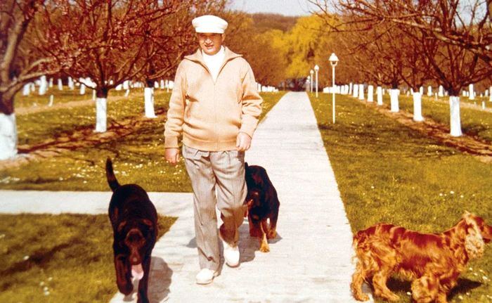 
    Canapeaua câinilor a fost  instalată chiar lângă  patul cuplului CeauşescuFoto: David Muntean  