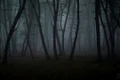 hoia baciu jpg