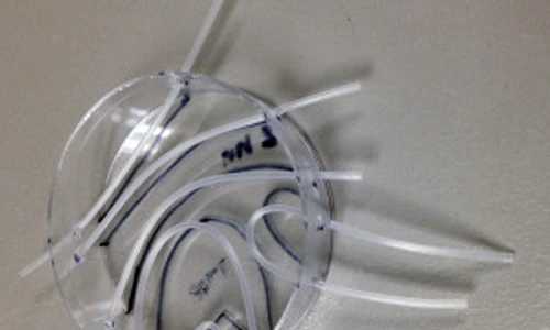 1 55949 original jpg jpeg