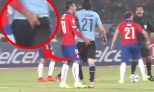 main cavani bun jpeg