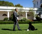 bo caine barack obama. foto gettyimages