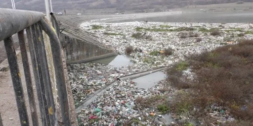 Insula de PET-uri de la Voila FOTO Ovidiu Stan codlea-info