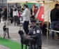 expo caini