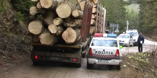 Anchetele scot la iveală ilegalităţile comise pe Valea Muntelui FOTO