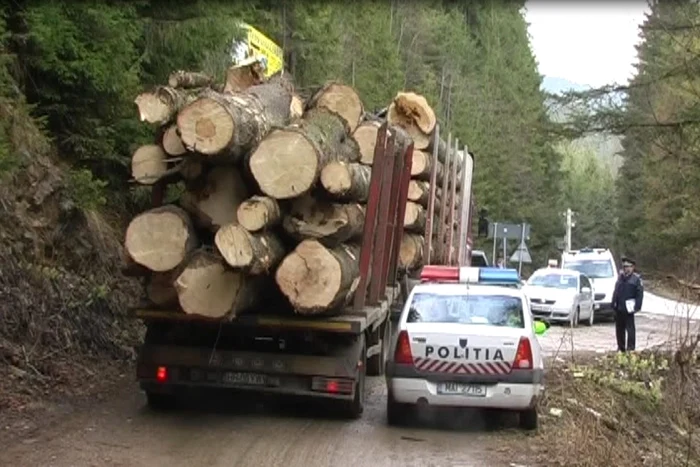 Anchetele scot la iveală ilegalităţile comise pe Valea Muntelui FOTO: arhiva Adevărul