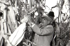 Vizită de lucru a președintelui Nicolae Ceaușescu în unități agricole din județele Ilfov și Ialomița (© „Fototeca online a comunismului românesc”, cota: 167/1979)