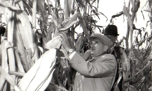 Vizită de lucru a președintelui Nicolae Ceaușescu în unități agricole din județele Ilfov și Ialomița (© „Fototeca online a comunismului românesc”, cota: 167/1979)