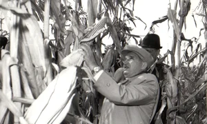 Vizită de lucru a președintelui Nicolae Ceaușescu în unități agricole din județele Ilfov și Ialomița (© „Fototeca online a comunismului românesc”, cota: 167/1979)