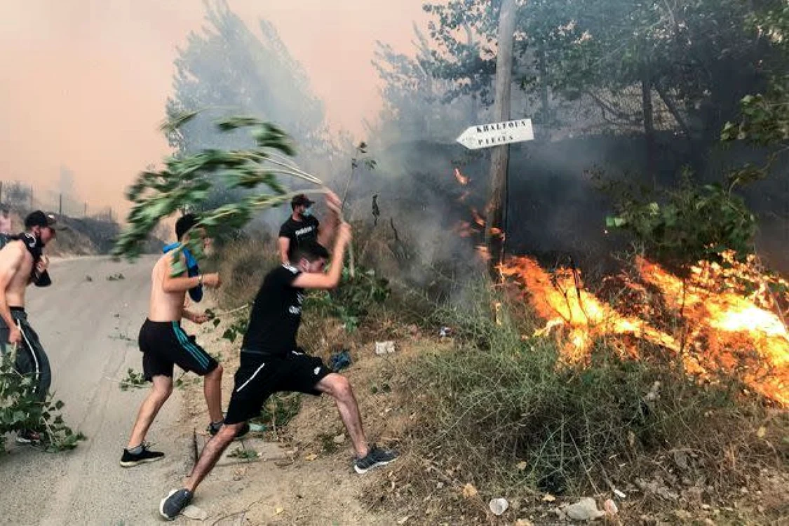 incendii algeria
