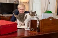 motanul larry 10 downing st al premierului britanic 1 jpeg