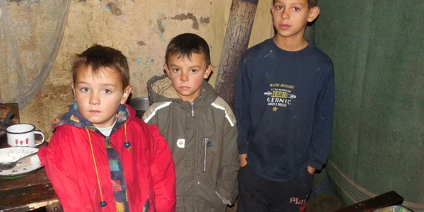 5 copii casa fara acoperis