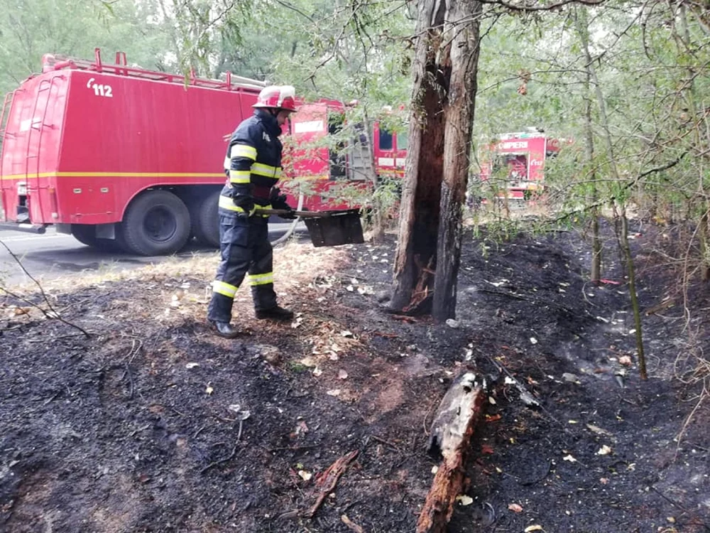 Incendiu Roşiorii de Vede FOTO ISU