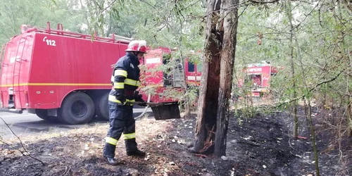 Incendiu Roşiorii de Vede FOTO ISU 