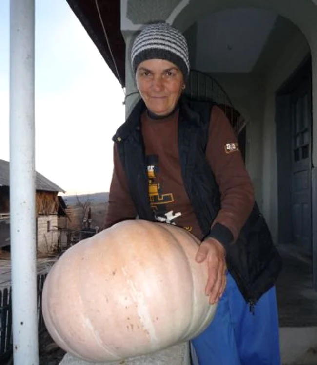 Dovleacul familiei Glăvan are 40 de kilograme