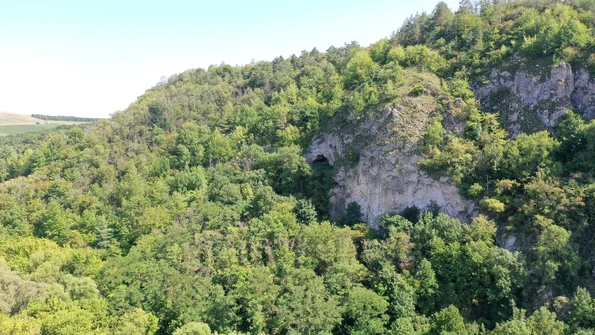 533411620 1071216825186541 7807752512292262914 n jpg