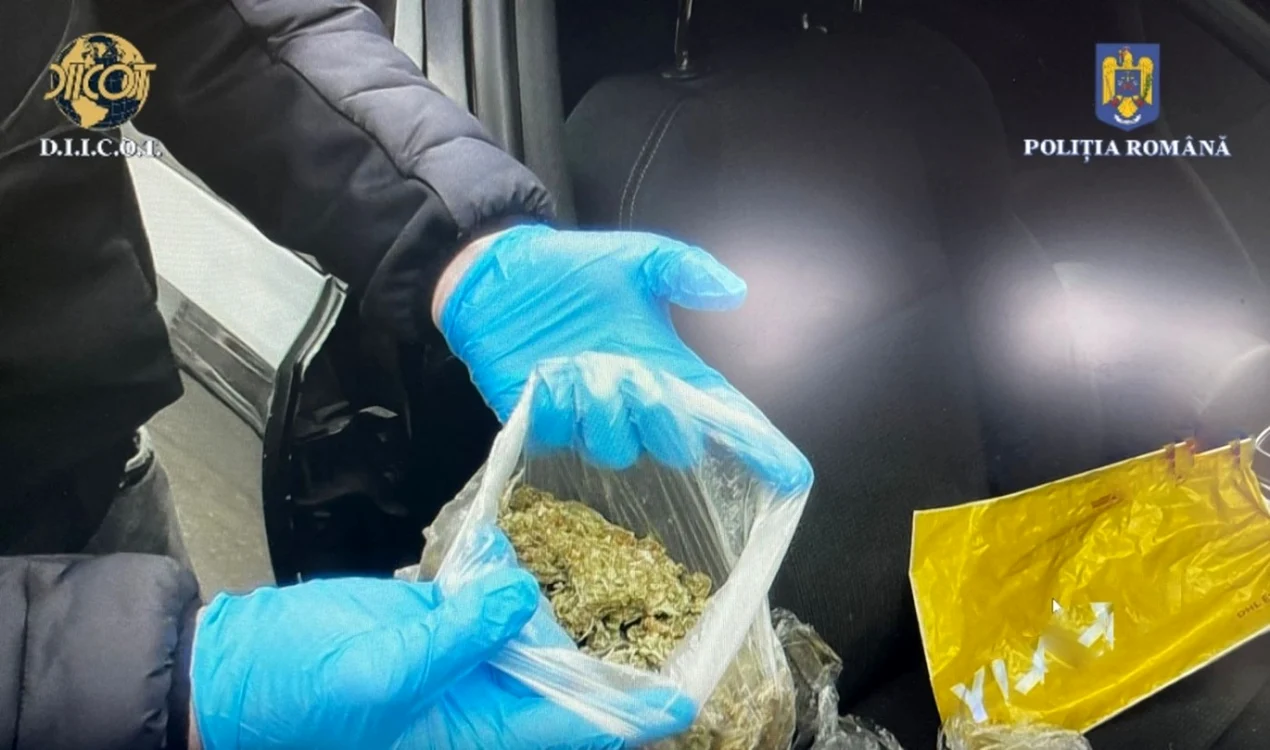 Cocaina, canabis, pastile mdma, bani, descoperite în urma unor percheziţii   Foto: IJP Maramureş