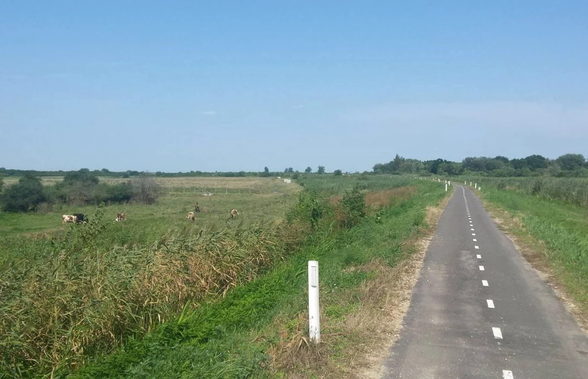 Pista de biciclete de pe digul Begăi FOTO Ştefan Bot