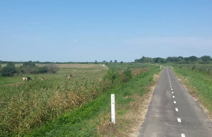 Pista de biciclete de pe digul Begăi FOTO Ştefan Bot