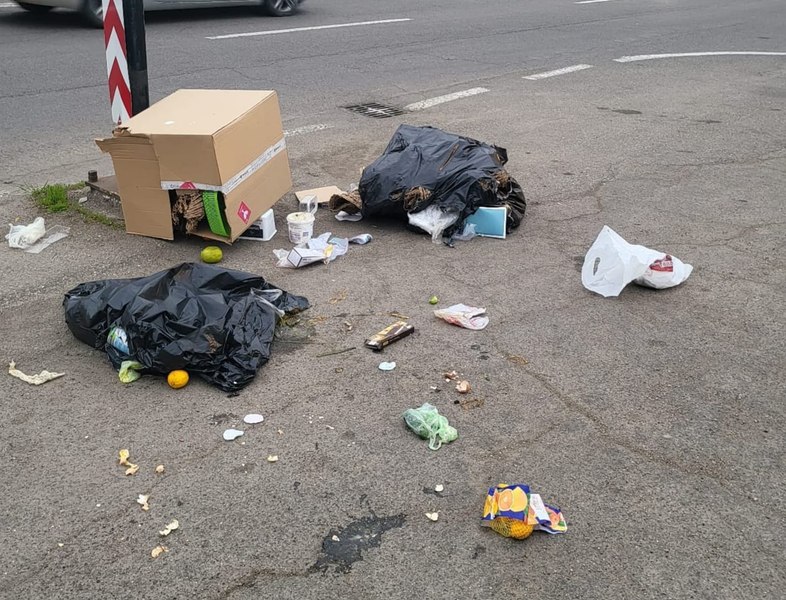 Nesimțire crasă. O femeie din Târgoviște a aruncat gunoiul chiar în fața Curții Domnești. Cum a fost descoperită VIDEO
