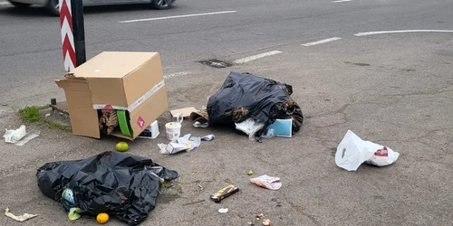 344727431 564628605655484 2195491359857911494 n jpg