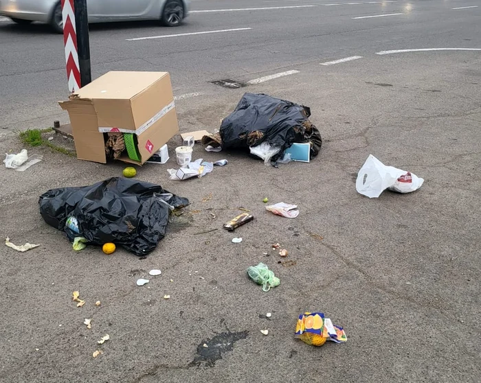 Angajații de la salubritate au găsit tot gunoiul răvășiti. FOTO C. Stan