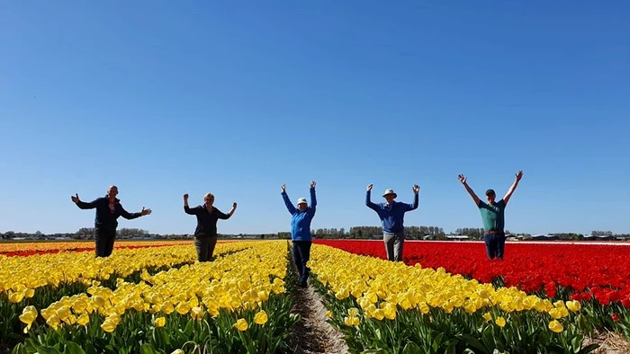Olandezii au grijă de flori respectând distanțarea socială
