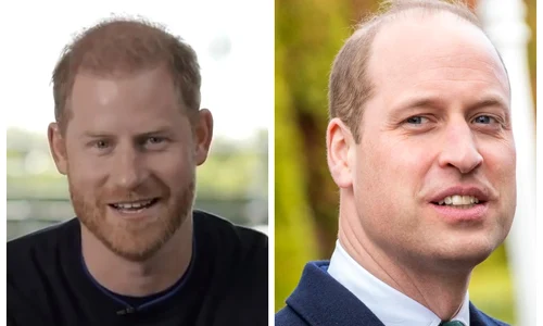 FotoJetWilliamșiHarrycolaj jpg