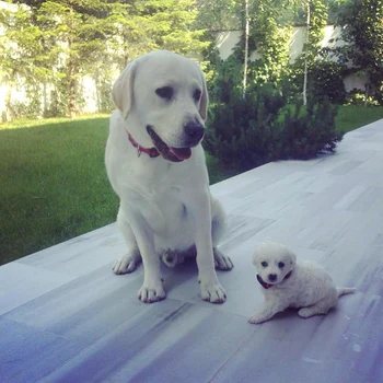 13240162 10154798888982646 813618163836003581 n jpeg