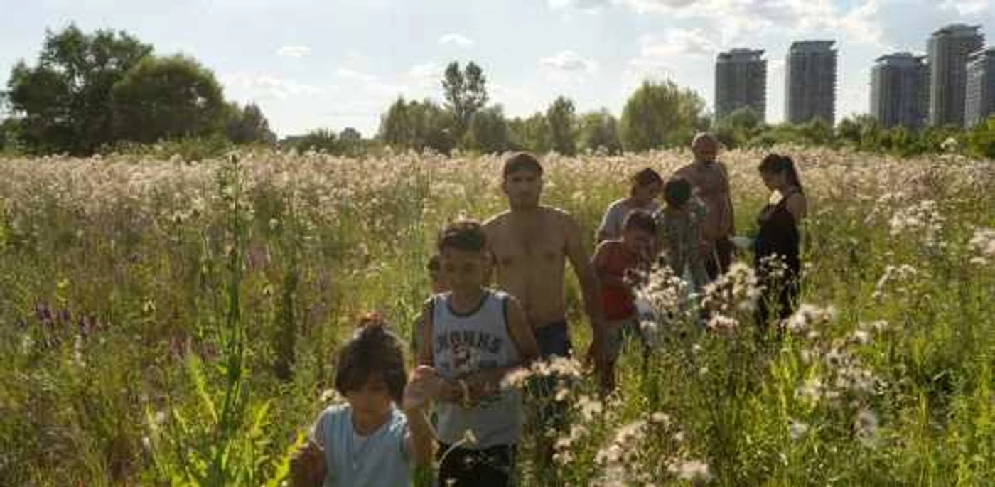 FOTO Mircea Topoleanu