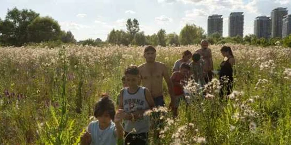 foto Mircea Topoleanu